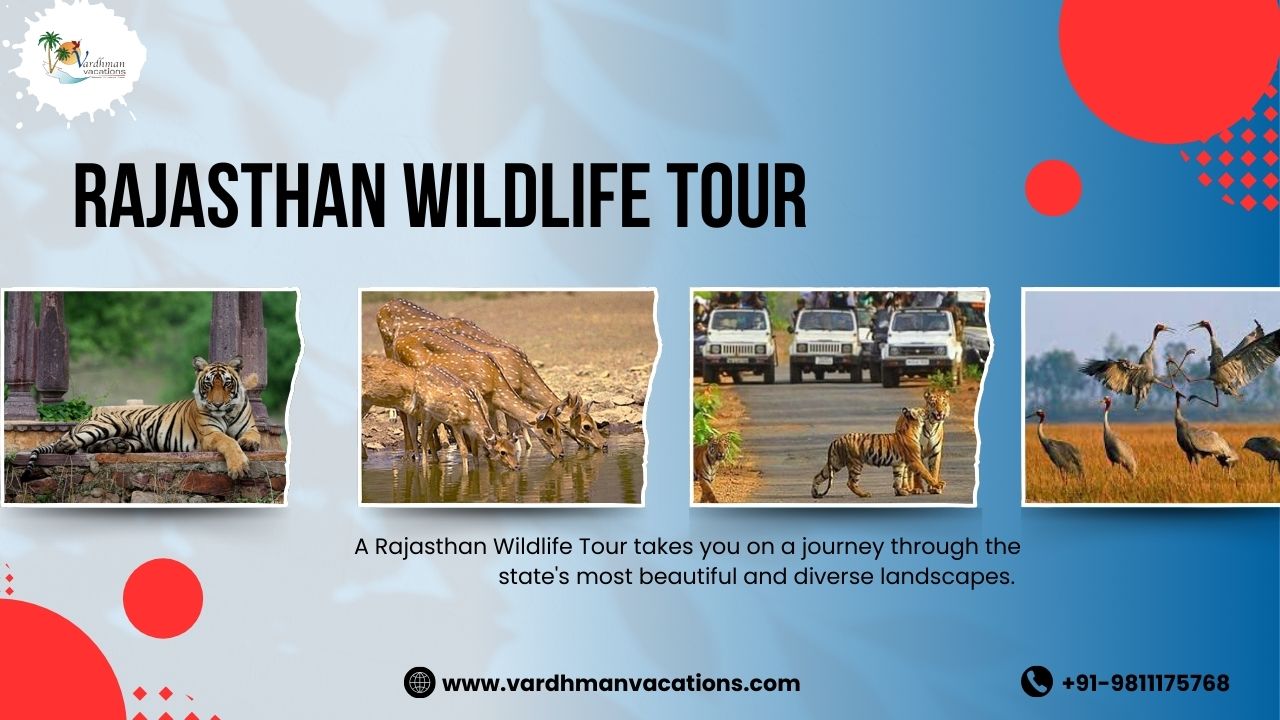 Rajasthan Wildlife Tour
