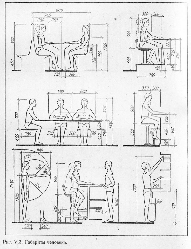 Anthropometric Data for Personalized Interiors - image 2