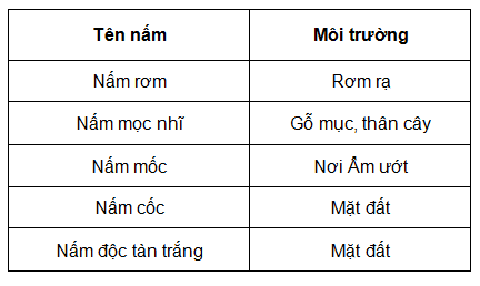 BÀI 28: NẤM1. ĐẶC ĐIỂM CỦA NẤMCâu 1: Gọi tên một số nấm thường gặp trong đời sốngĐáp án chuẩn: Nấm hương, nấm đùi gà, nấm kim châm, nấm mốc, mọc nhĩ,...Câu 2: Vẽ sợi nấm mốc và một số loại nấm lớn mà em quan sát được Đáp án chuẩn: Câu 3: Quan sát hình 28.1, 28.2 và Đáp án chuẩn câu hỏi:- Hãy nhận xét về hình dạng của nấm- Em hãy phân biệt nấm túi và nấm đảm. Các loại nấm em quan sát được ở hoạt động thực hành thuộc nhóm nấm đảm hay nấm túi?- Hãy chỉ ra điểm khác biệt giữa cấu tạo cơ thể nấm độc và các loại nấm khác- Em hãy xác định môi trường sống của một số nấm bằng cách hoàn thành bảng theo mẫu sau:Đáp án chuẩn: - Có nhiều kích thước khác nhau, nhưng đều có hình mũ úp xuống.- Nấm có bào tử mọc phía dưới mũ nấm. Nấm túi có bào tử mọc trên mũ nấm- Nấm độc có thêm một lớp bao quanh thân nấm ở dưới phiến mũ nấm.Câu 4: Đặc điểm cấu tạo tế bào nấm men có gì khác với cấu tạo tế bào các loại nấm còn lại? Từ đó, em hãy phân biệt nấm đơn bào và nấm đa bào Đáp án chuẩn: - Tế bào nấm men cấu tạo từ một tế bào, các loại khác cấu tạo từ nhiều tế bào.- Nấm đơn bào cấu tạo từ một tế bào. Nấm đa bào cấu tạo từ nhiều tế bào khác nhauCâu 5: Kể tên một số loại nấm ăn được mà em biếtĐáp án chuẩn: Nấm hương, nấm kim châm, nấm đùi gà, nấm sò, mọc nhĩ,...2. VAI TRÒ CỦA NẤM Câu 1: Quan sát hình 28.3, em hãy nêu vai trò của nấm trong tự nhiênĐáp án chuẩn: Tham gia phân hủy xác sinh vật, phân hủy rác hữu cơ, góp phần làm sạch…Câu 2: Từ thông tin gợi ý trong hình 28.4, em hãy nêu vai trò của nấm đối với đời sống con ngườiĐáp án chuẩn: Làm thực phẩm thức ăn hàng ngày; làm thuốc, thực phẩm chức năng, dùng trong sản xuất bia rượu, làm men nở; làm chế phẩm thuốc trừ sâu sinh học;....Câu 3: Hãy kể tên một số nấm có giá trị trong thực tiễnĐáp án chuẩn: Nấm đông trùng hạ thảo, nấm linh chi,...Câu 4: Quan sát hình 28.5, hãy kể tên một số bệnh do nấm gây ra. Các bệnh đó có biểu hiện như thế nào?Đáp án chuẩn: - Bệnh nấm da tay: xuất hiện mảng da màu đỏ kèm vảy, ngứa, nhức, cảm giác nóng lòng bàn tay- Bệnh nấm mốc cá: trên da cá xuất hiện vùng trắng xám, sau đó phát triển thành các búi trắng như bông; , da tróc vảy- Bệnh viêm phổi: sốt cao kéo dài, ho khan, đau ngực, khó chịu ở ngực- Bệnh mốc xám ở dâu tây: đốm nâu sáng xuất hiện, sau đó lan rộng, phủ một lớp mốc xám và làm cho quả bị khô.Câu 5: Từ thông tin gợi ý trong hình 28.6, nêu con đường lây truyền bệnh do nấm gây raĐáp án chuẩn: Tiếp xúc với vật nuôi bị nhiễm bệnh, tiếp xúc với cơ thể bị nhiễm bệnh, dùng chung đồ với người bệnh, tiếp xúc với môi trường chứa nấm gây bệnh.Câu 6: Từ các con đường truyền bệnh do nấm gây ra, em hãy đề xuất một số biện pháp phòng chống các bệnh thường gặp do nấm Đáp án chuẩn: - Cần hạn chế tiếp xúc với các nguồn lây bệnh.- Vệ sinh cá nhân thường xuyên- Vệ sinh môi trường sống xung quanh sạch sẽ 3. KỸ THUẬT TRỒNG NẤMCâu 1: Tại sao người ta không trồng nấm trên đất mà phải trồng trên rơm rạĐáp án chuẩn: Vì môi trường sống của nấm rơm là rơm rạCâu 2: Có ý kiến cho rằng:  Môi trường trồng nấm rơm tốt nhất là gần địa điểm có chăn nuôi gia súc, gia cầm.