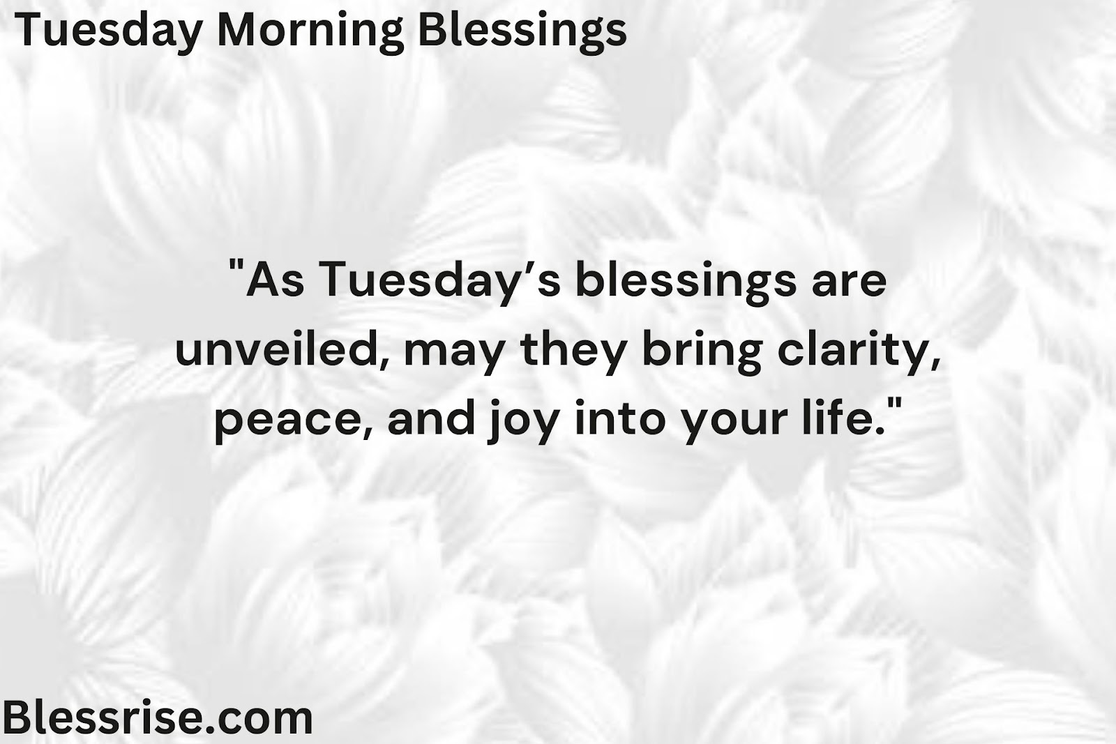  Good Morning and God Bless Tuesday