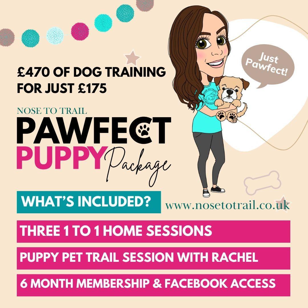 image shows Mell from Nose to Trail holding a puppy and information on the dog training worth £470 for just £175