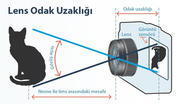 metin, kedi, memeli içeren bir resim
Açıklama otomatik olarak oluşturuldu