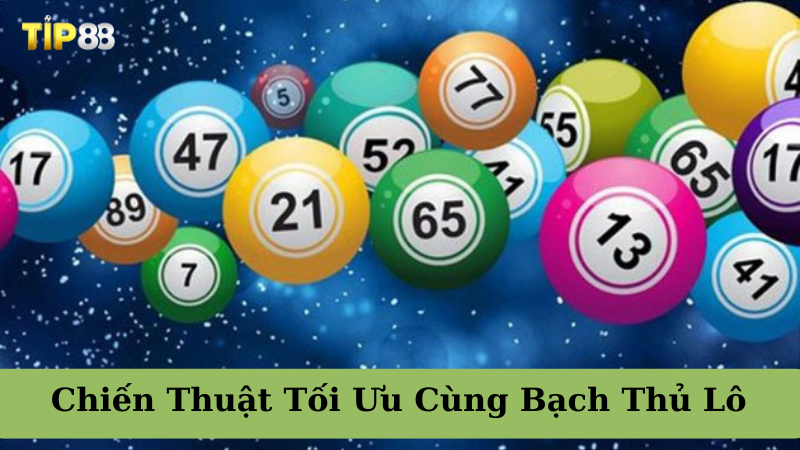 Bạch thủ lô là gì?