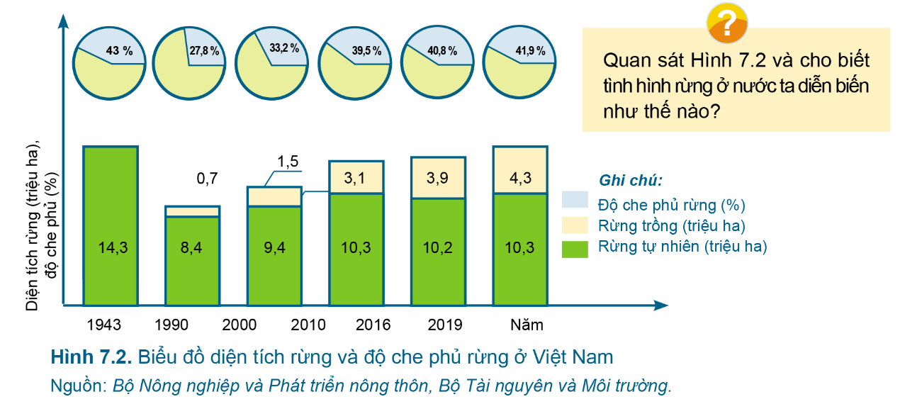 BÀI 7.BẢO VỆ RỪNGMỞ ĐẦUCâu hỏi: Các hình ảnh trong Hình 7.1 có liên quan gì đến việc mất rừng?Đáp án chuẩn:- Hình a : Gây biến đổi khí hậu: hạn hán- Hình b : Gây sạt nở đất- Hình c : Gây lũ lụt 1.TÌNH HÌNH RỪNG Ở VIỆT NAMCâu hỏi : Quan sát hình 7.2 và cho biết tình hình rừng ở nước ta diễn biến như thế nào ?Đáp án chuẩn:Tình hình rừng tự nhiên ổn định, rừng trồng tăng dần theo các nămLuyện tập : Dựa vào hình 7.3, em hãy nêu nguyên nhân, hậu quả của việc mất rừng ở nước ta.Đáp án chuẩn:- Do cháy rừng, chặt phá rừng bừa bãi, sạt lở, mưa lũ – hạn hán kéo dàiVD.Em sẽ làm gì để góp phần giảm thiểu thiên tai ( lũ lụt, hạn hán,…)Đáp án chuẩn:Tuyên truyền ý thức, không sử dụng sản phẩm từ động vật rừng quý hiếm2. Ý NGHĨA CỦA VIỆC BẢO VỆ RỪNGCâu hỏi: Quan sát Hình 7.4 và cho biết ý nghĩa của việc bảo vệ rừng.Đáp án chuẩn:Điều tiết nước, lưu trữ cacbon, cung cấp thực phẩm cho con ngườiLuyện tập : Vì sao bảo vệ rừng lại giảm thiểu tác động của biến đổi khí hậu?Đáp án chuẩn:Rừng hấp thu khí các-bon-níc, hạn chế tác động của biến đổi khí hậu.3. BẢO VỆ RỪNG