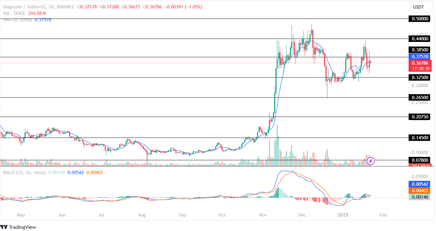 Dogecoin Price Analysis 22nd January 2025