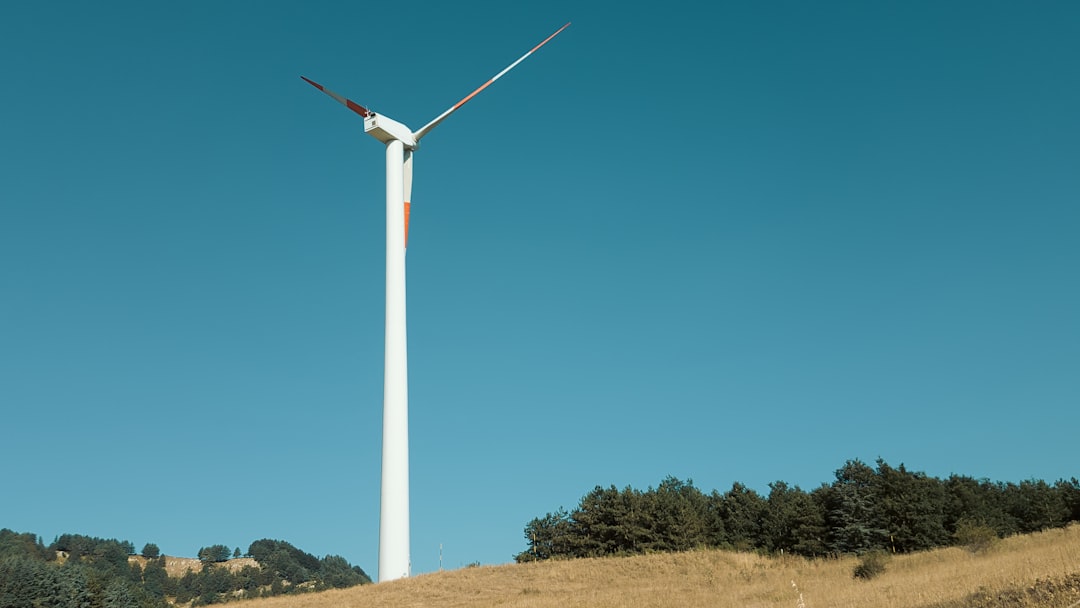 Wind turbines in a field