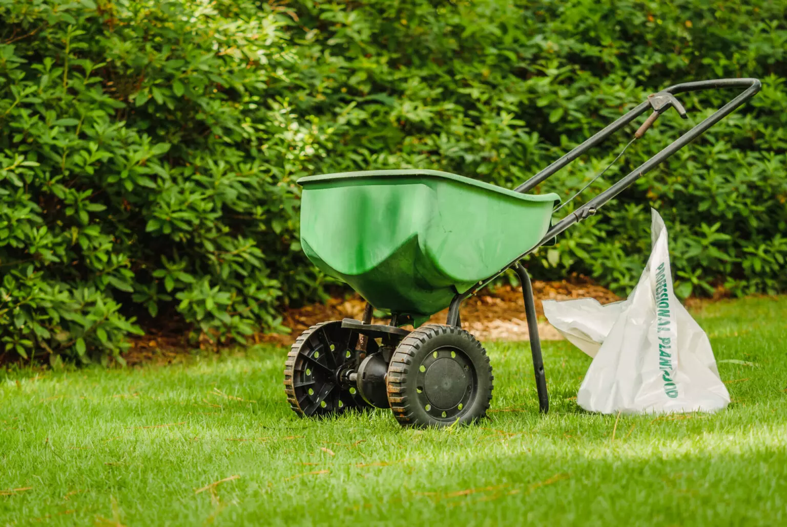 Best Practices to Apply Kentucky Bluegrass Seed