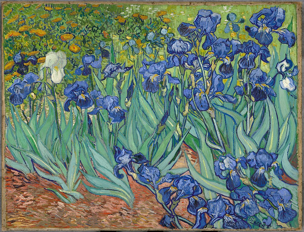 Vincent van Gogh's Irises (1889), painted at Saint-Rémy asylum, sold for $53.9 million   