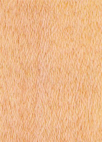 A close-up of a wood grain

Description automatically generated