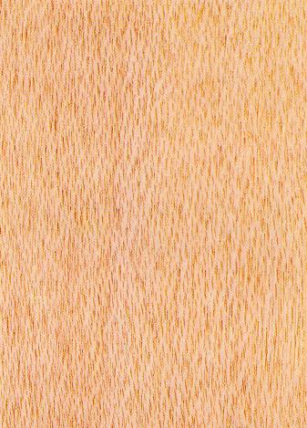 A close-up of a wood grain

Description automatically generated