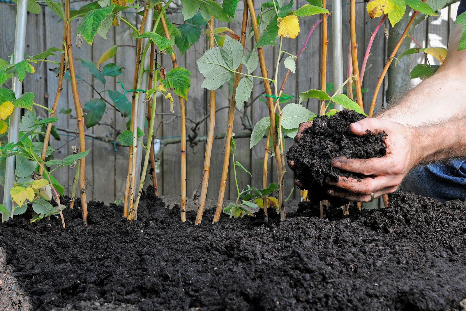 Best Practices to Apply Soil Amendments to Garden