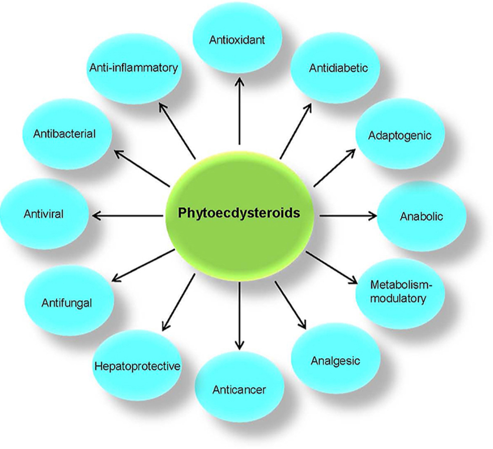 A diagram of the different types of diseases

Description automatically generated