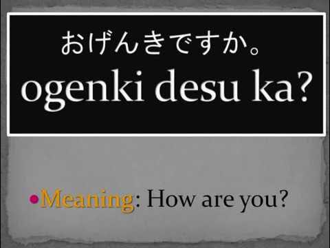 when is Ogenki Desu Ka used?