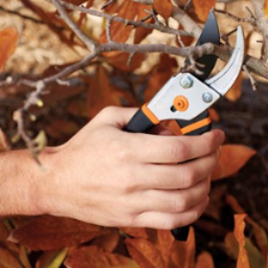 The Best Gardening Tool Brands