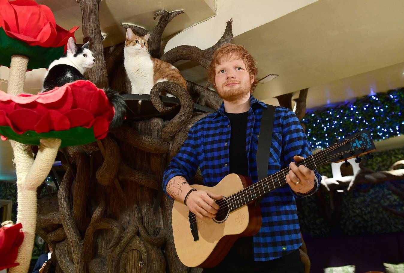 Ed Sheeran Details the Lovestruck Jitters