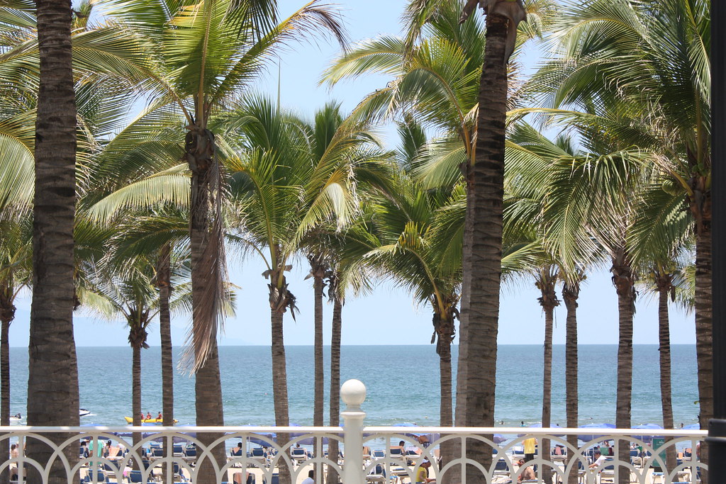 Tall trees at the side of beach and has clean and clear water and clear sky