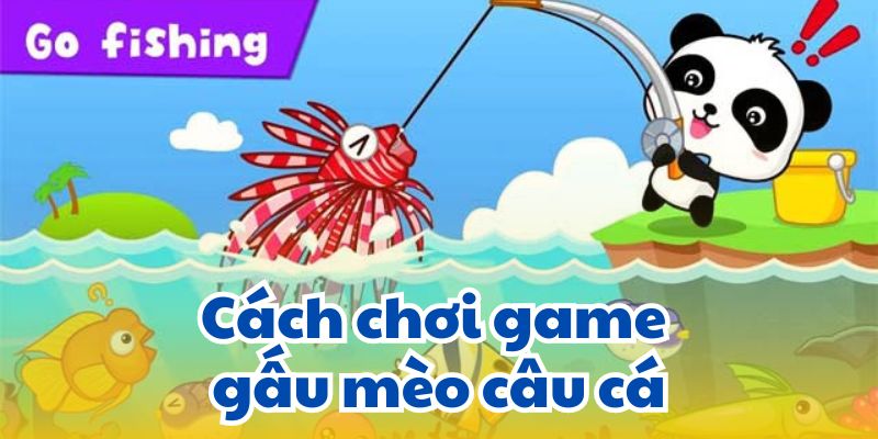 Cách chơi game gấu mèo câu cá