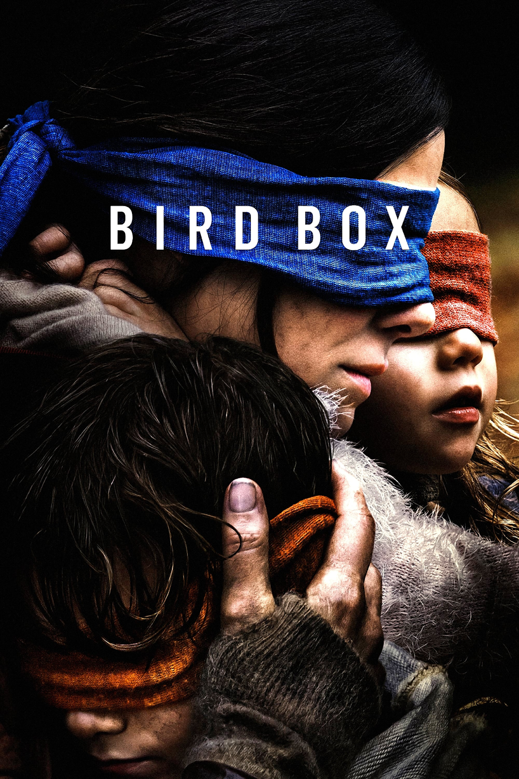 Bird Box- Family horror movies on netflix