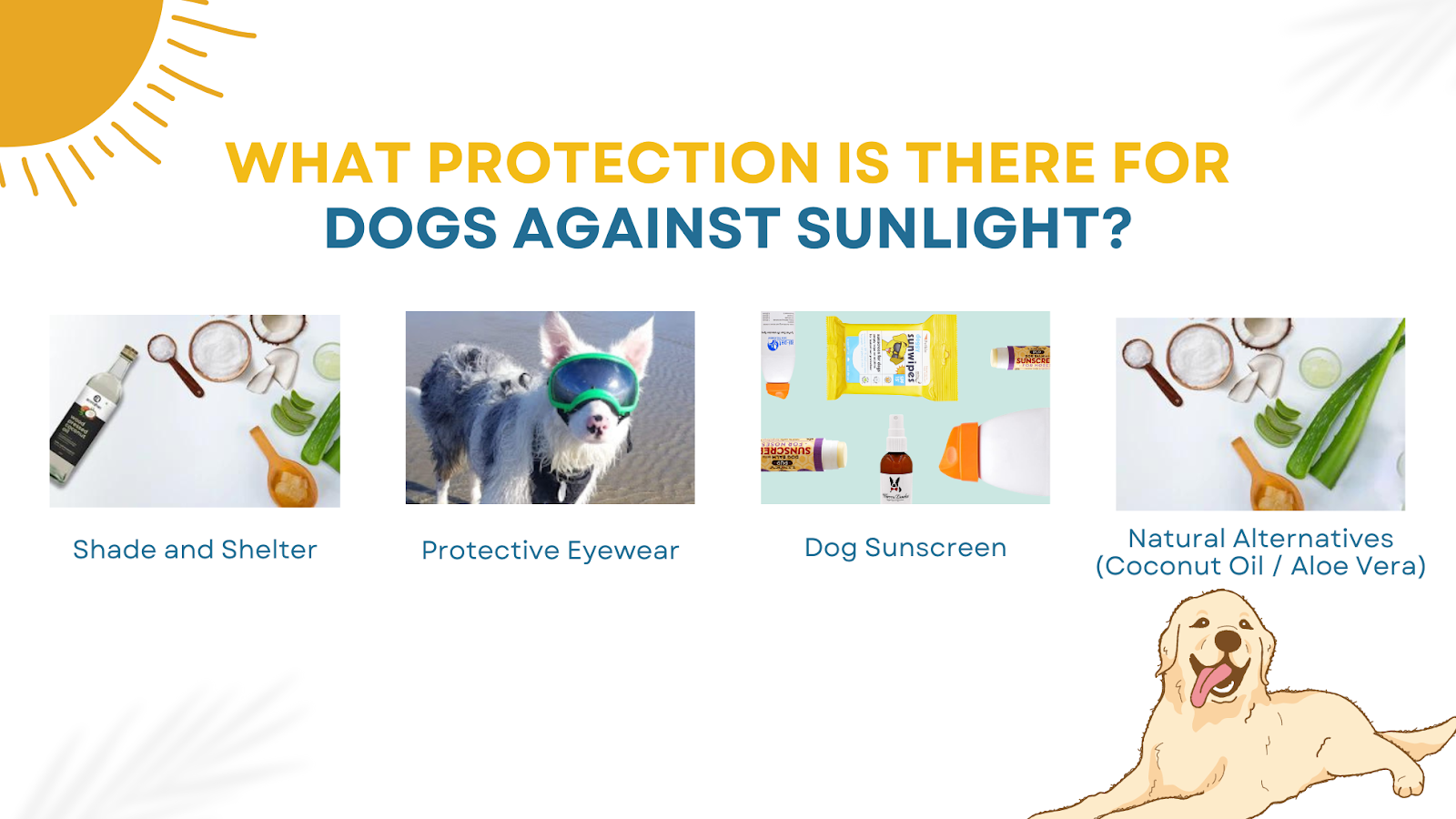 sunlight protection for dogs