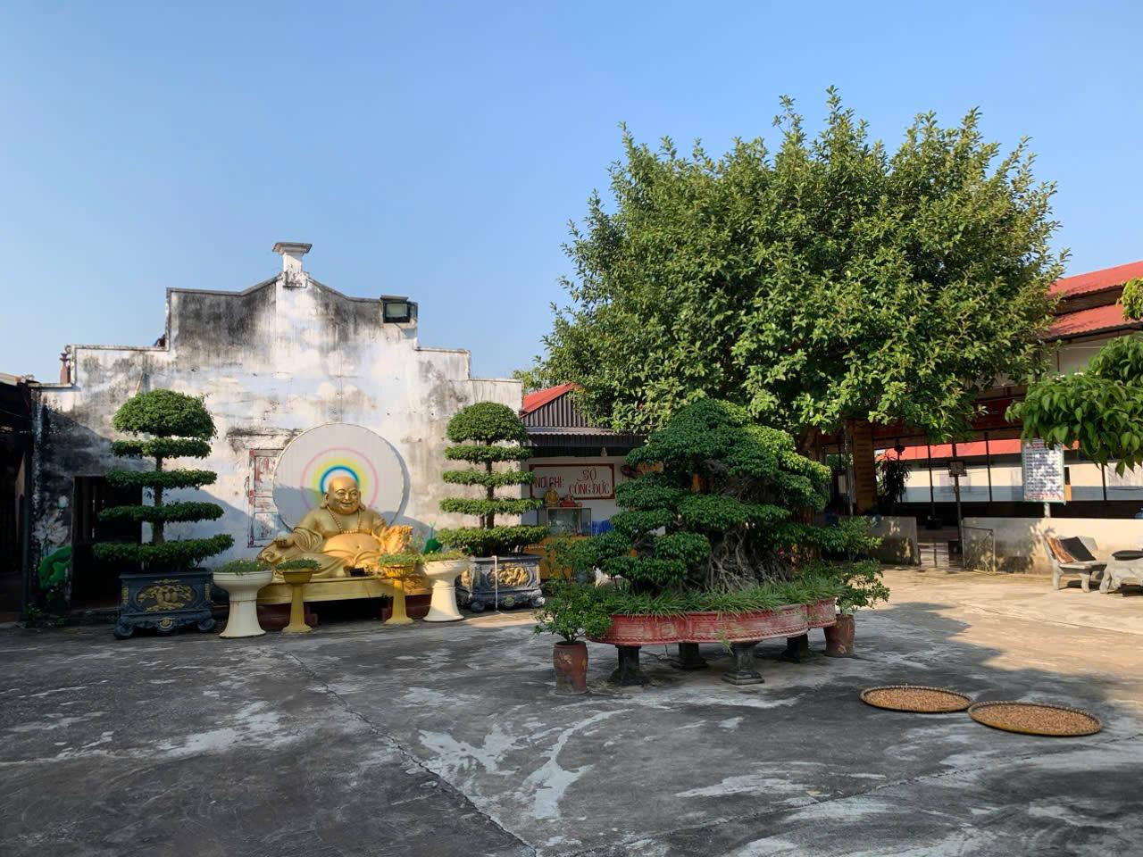 A statue of a buddha in a courtyardDescription automatically generated