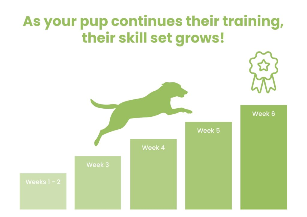 dog-training-quotes-inspiring-words-for-every-dog-owner