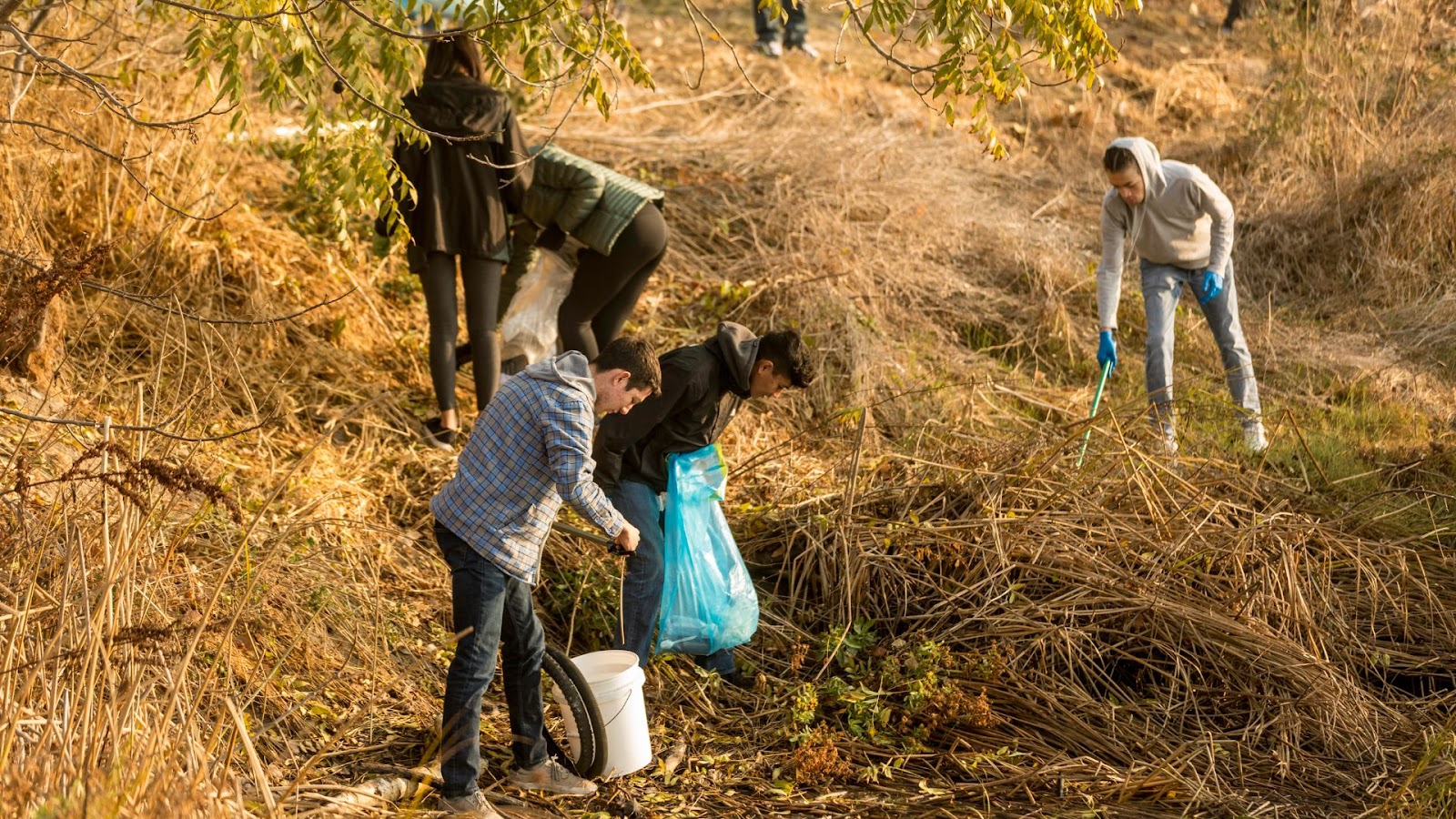 Ways to highlight community service experience in Ivy League application