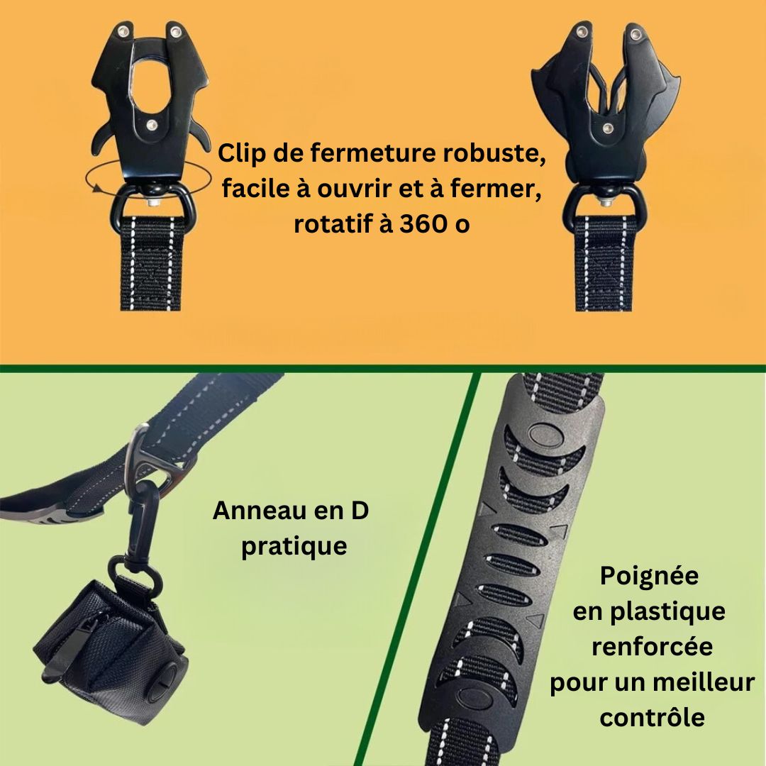 laisse anti-traction-details