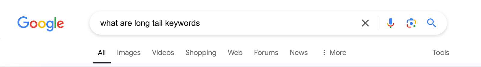 Example of a long-tail keyword in search engines. 