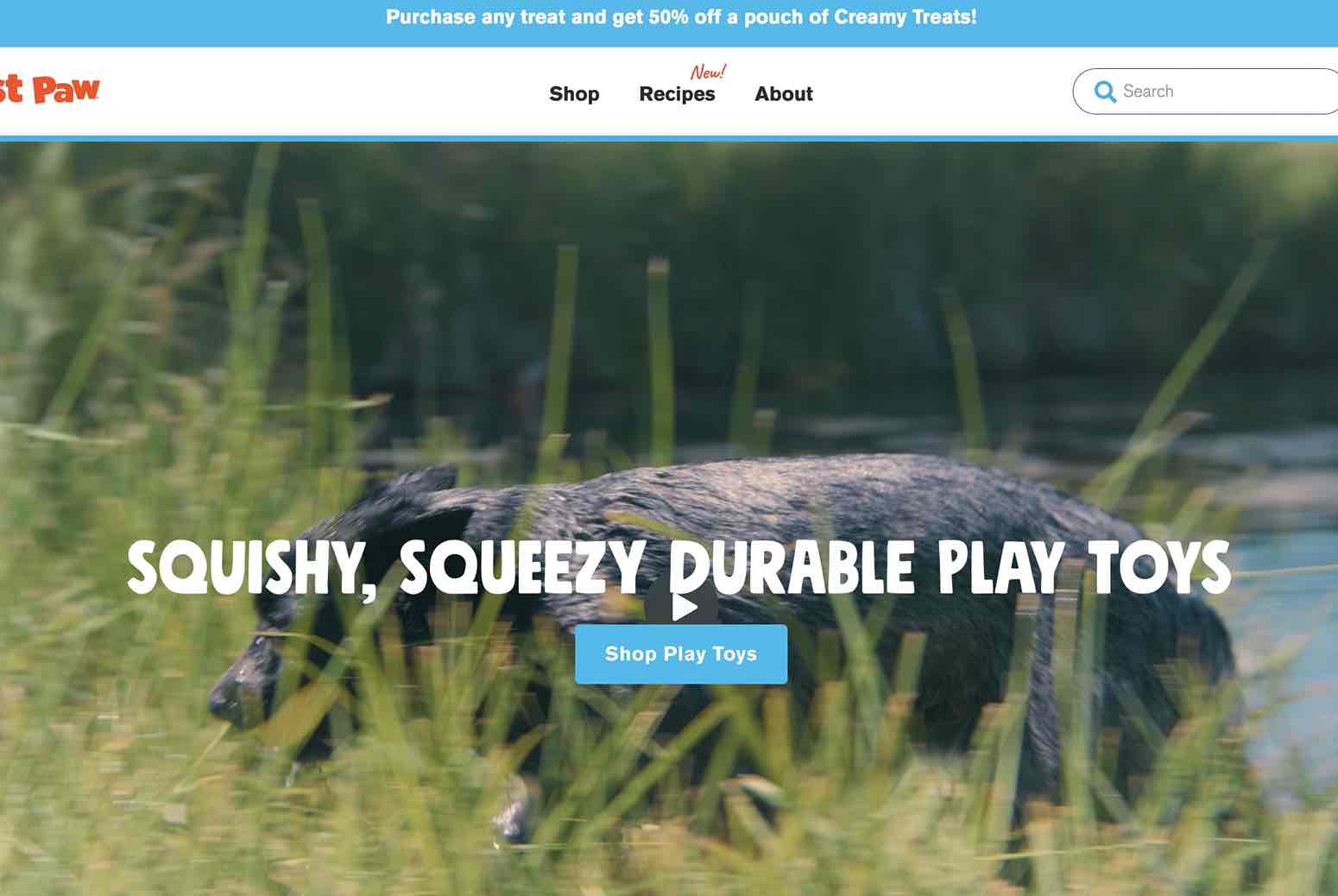 A screenshot of West Paw as a pet brand looking influencers 