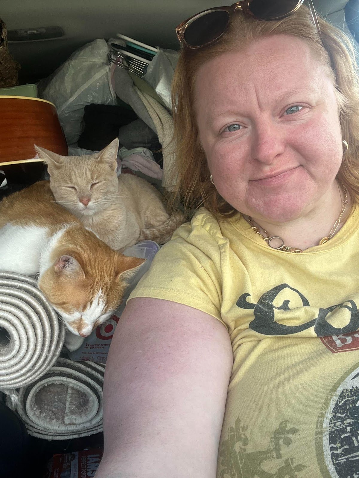 Coral's loyal cat companions, Theodore Macaroni Bing and Edwin Sheeran
