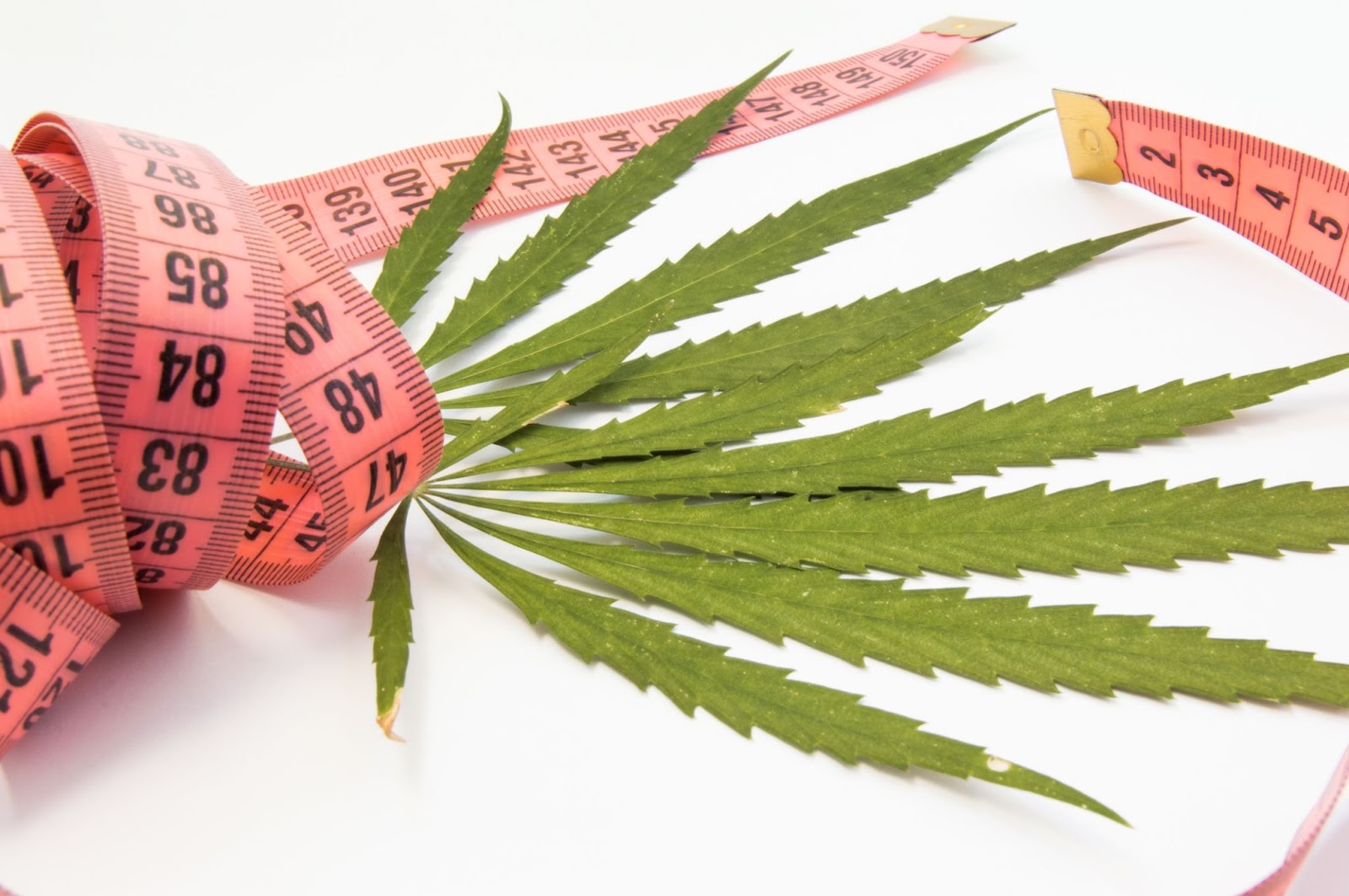 photo of THCV for Weight Loss: A Growing Opportunity for Cannabis and Hemp Businesses image