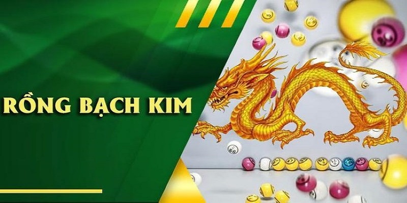 Chuyên trang soi cầu rồng bạch kim chọn chuẩn số đặt cược