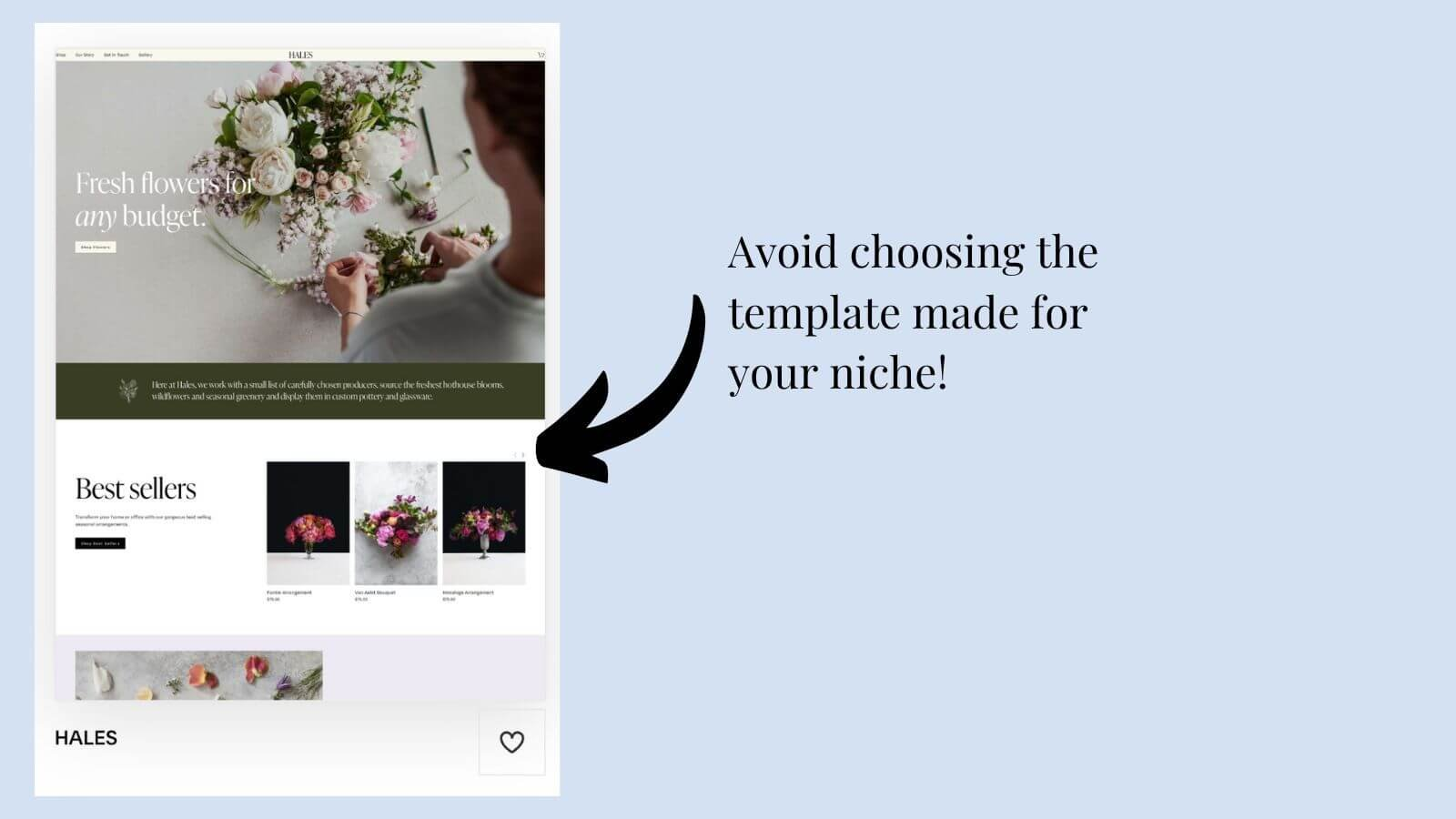 premium squarespace templates ,how to make squarespace website templates, Squarespace testimonial, squarespace email marketing, squarespace about page,
Squarespace vs Web flow vs Wix Comparison ,
Squarespace templates, squarespace website templates,Squarespace best templates,
 Squarespace Themes, free squarespace templates, Presentybox