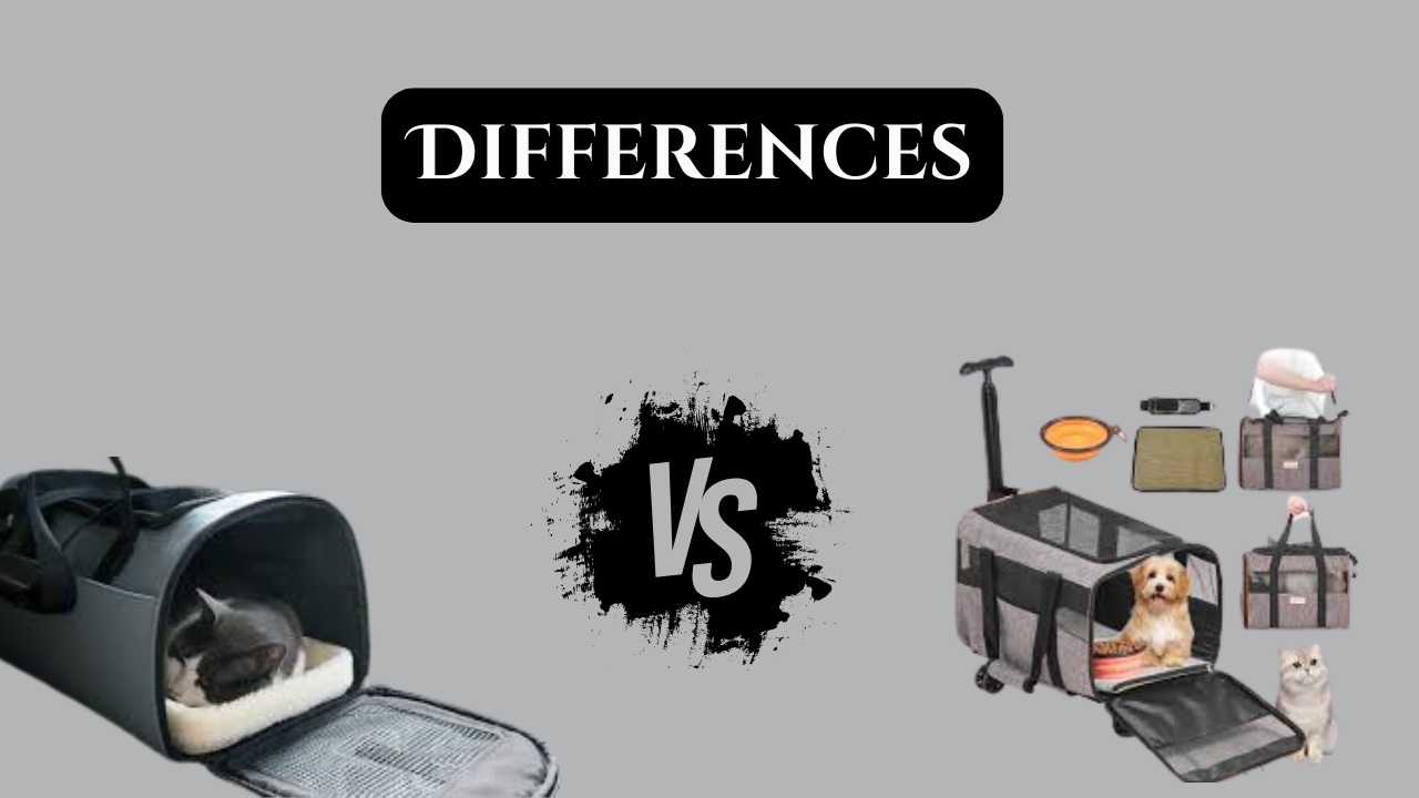 Cat Carrier vs Dog Carrier Differences