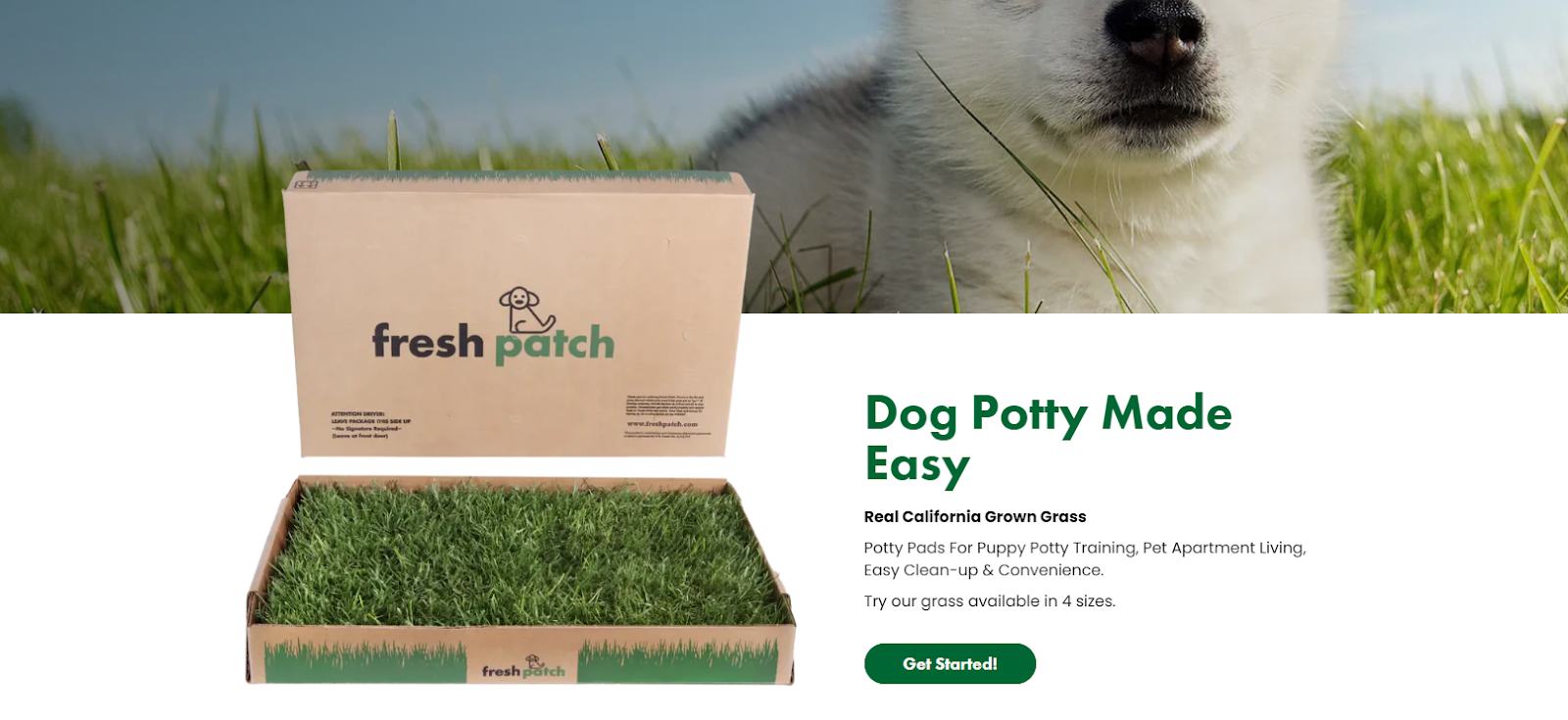 fresh patch a profitable ecommerce pet brand