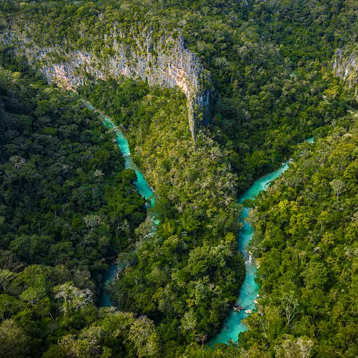 Vista aérea de uma floresta densa com rio de água azul cristalina serpenteando por um cânion verdejante.