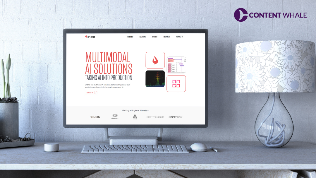 iMerit, top data labeling companies
