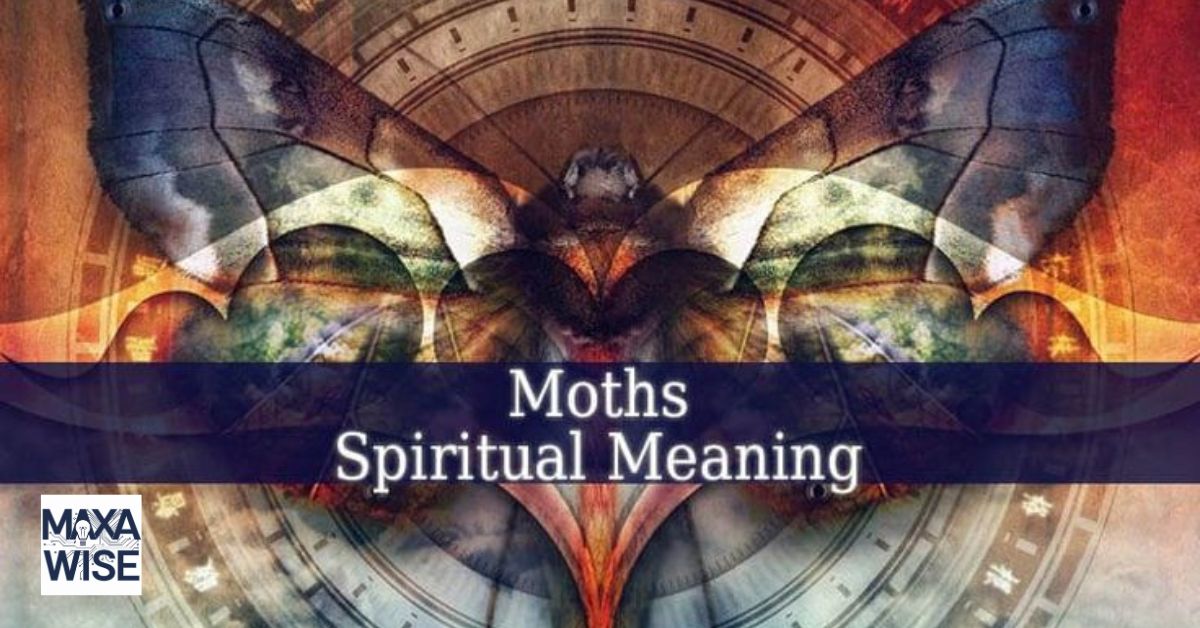 What Do Moths Symbolize