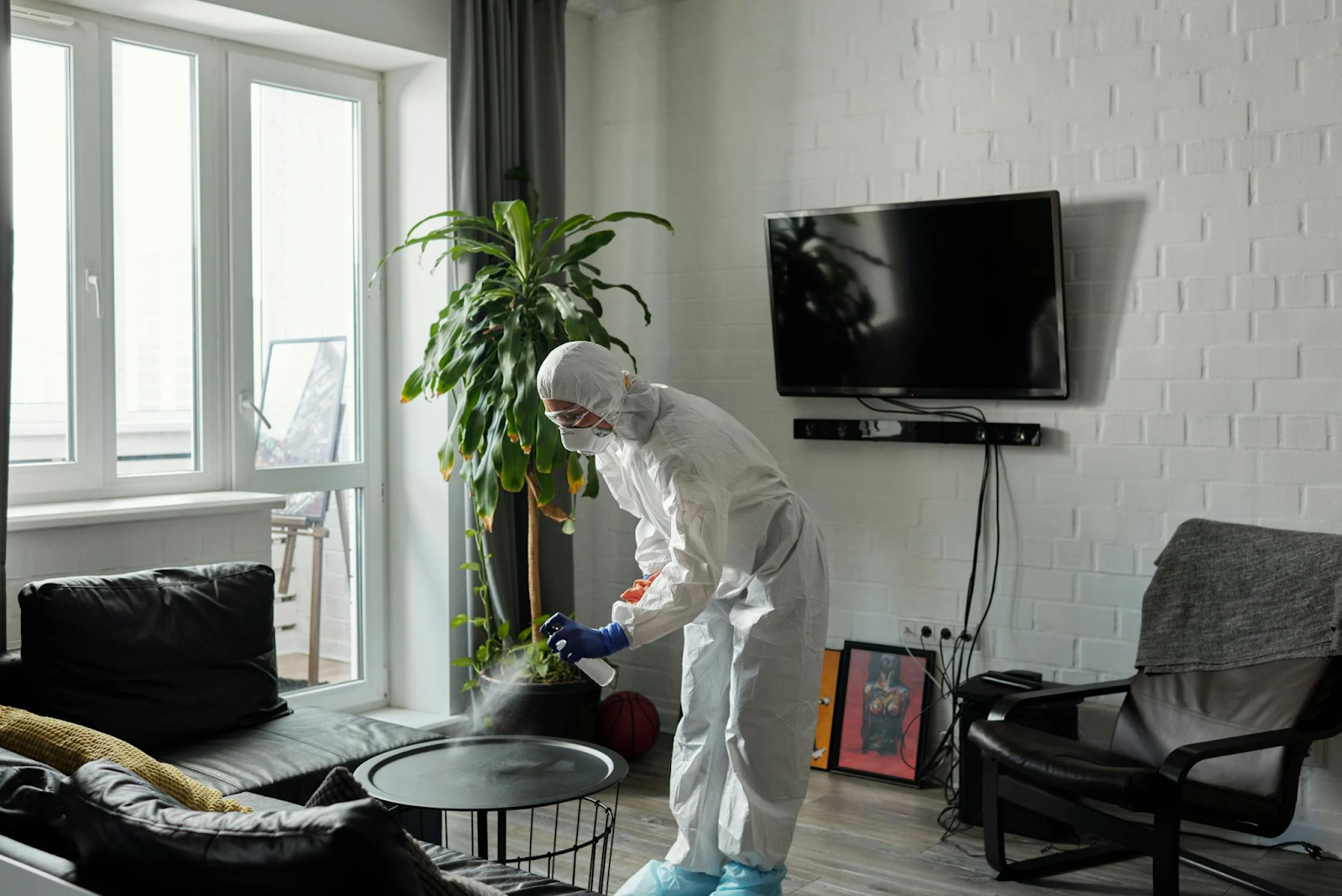 Pest Inspection