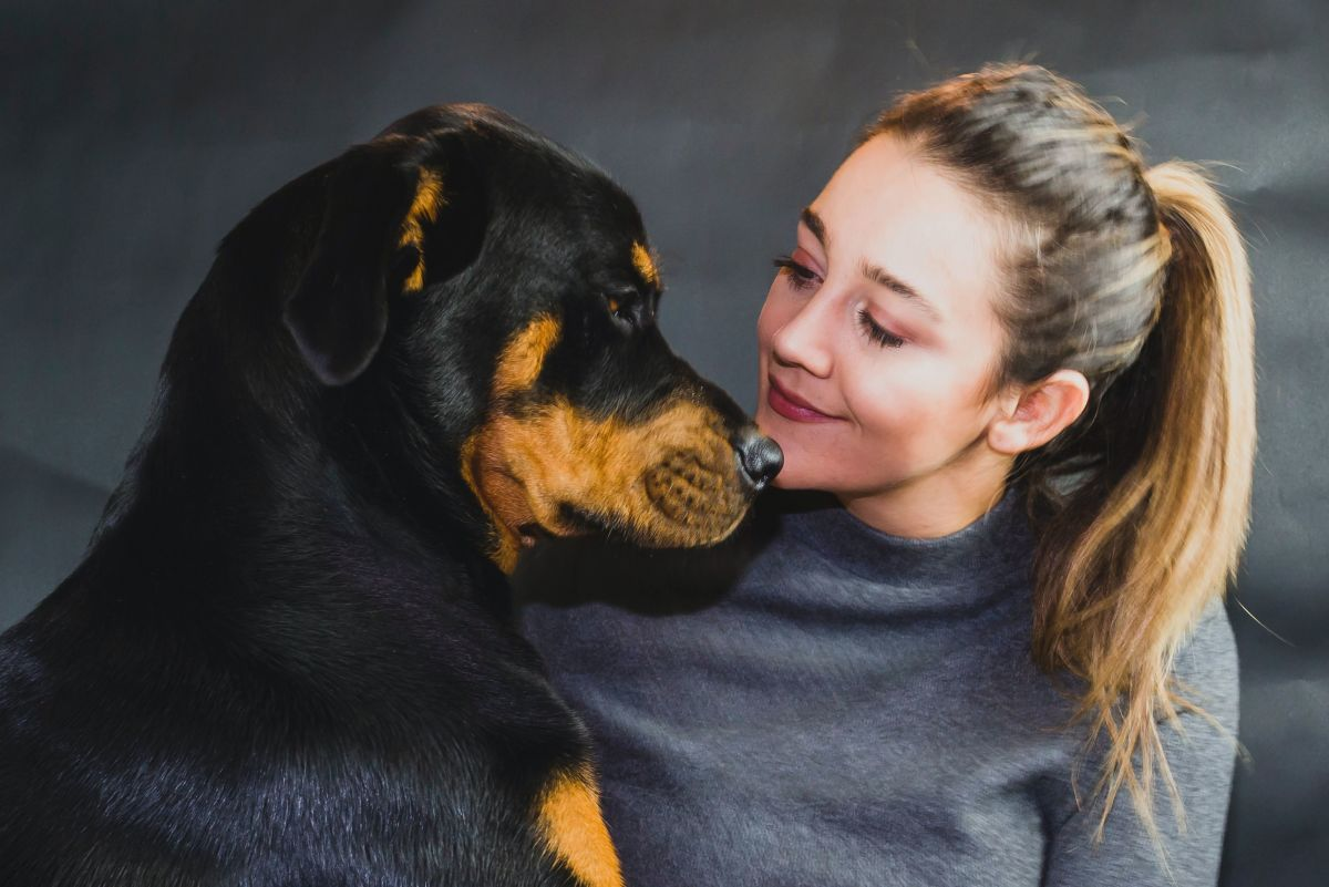 10 Affectionate Dog Breeds That Form Strong Bonds with Their Owners