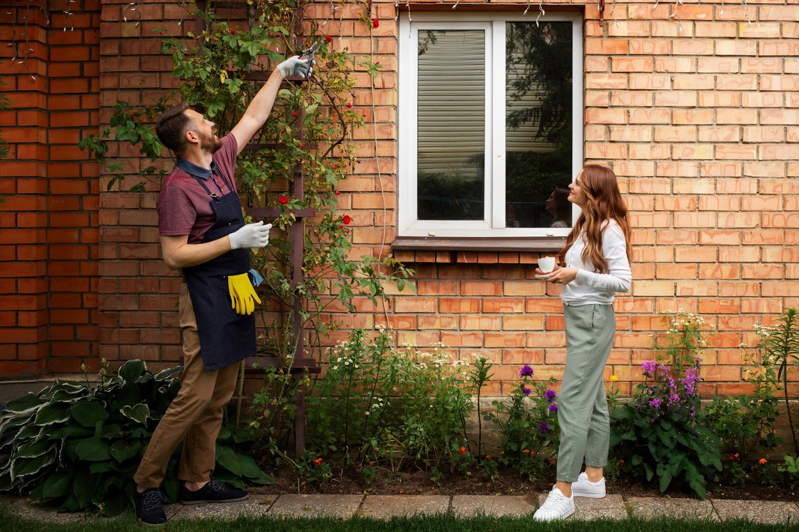 Exterior House Cleaning