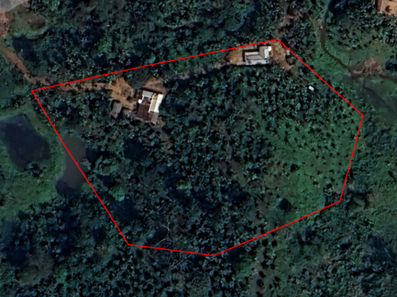 A aerial view of a forest

AI-generated content may be incorrect.
