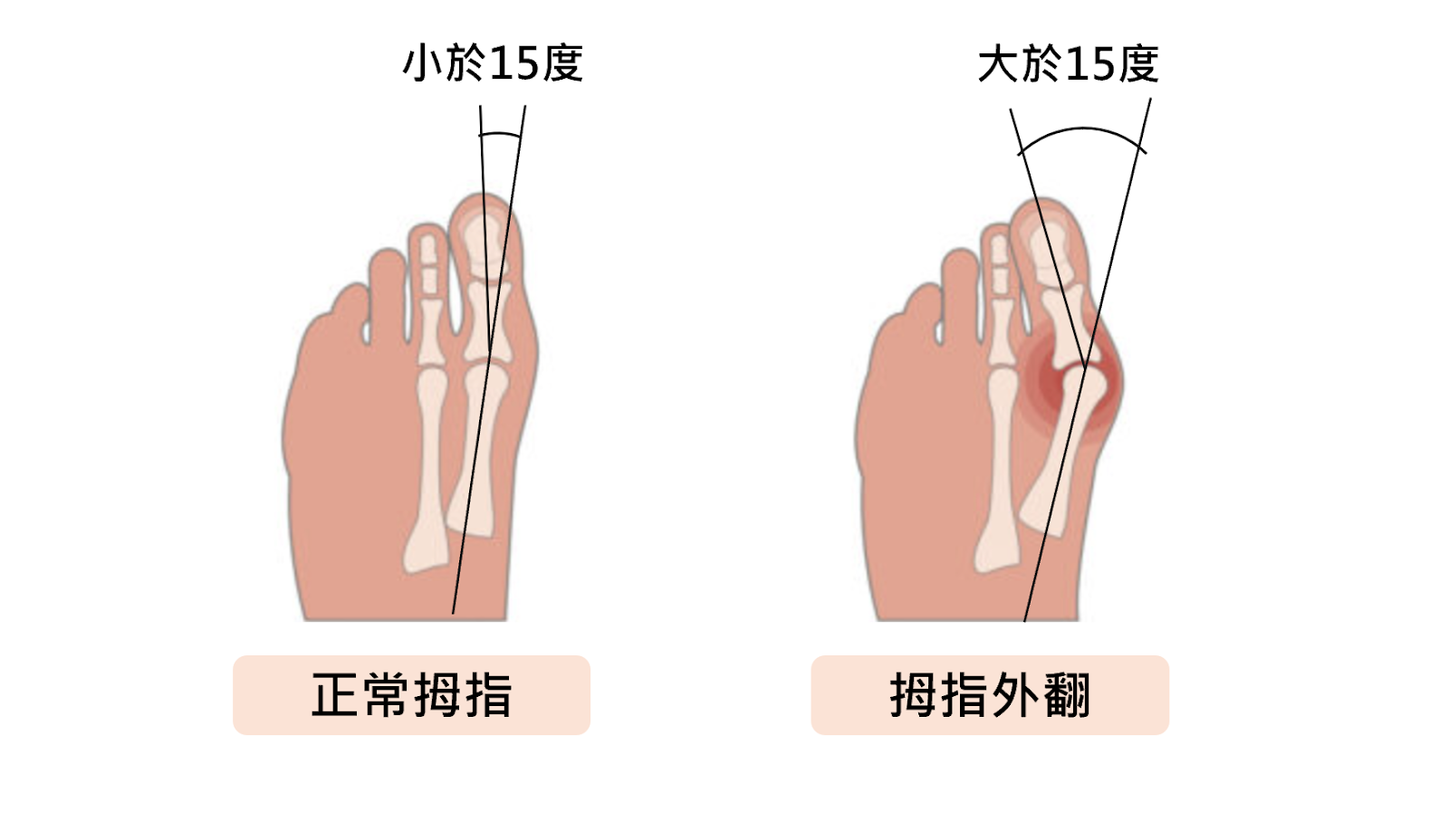 一張含有 文字 的圖片

自動產生的描述