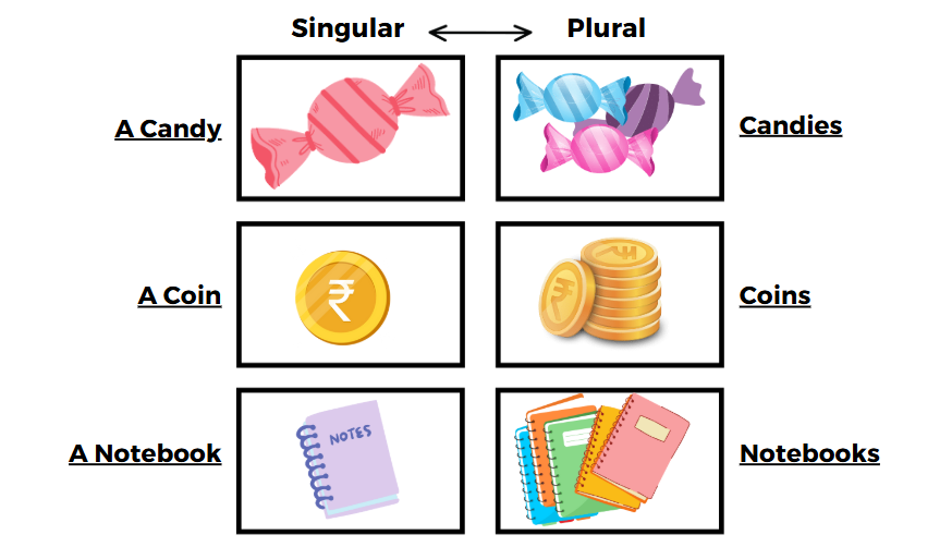 singular and plural nouns