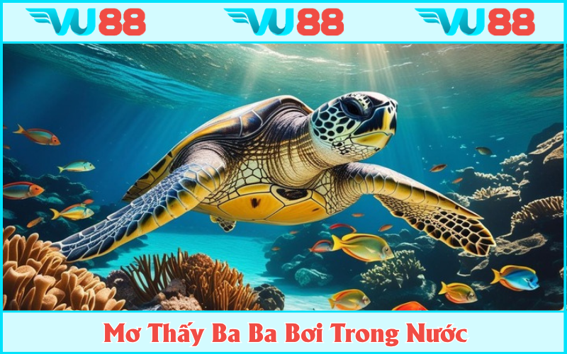Thấy chúng đang bơi dưới nước là điềm báo may mắn