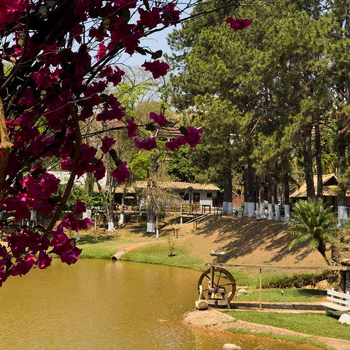 Paisagem natural com árvores, flores roxas, um lago, uma roda d'água, casas de madeira ao fundo e ambiente tranquilo.