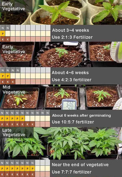 Vegetative Stage Nutrient Ratios