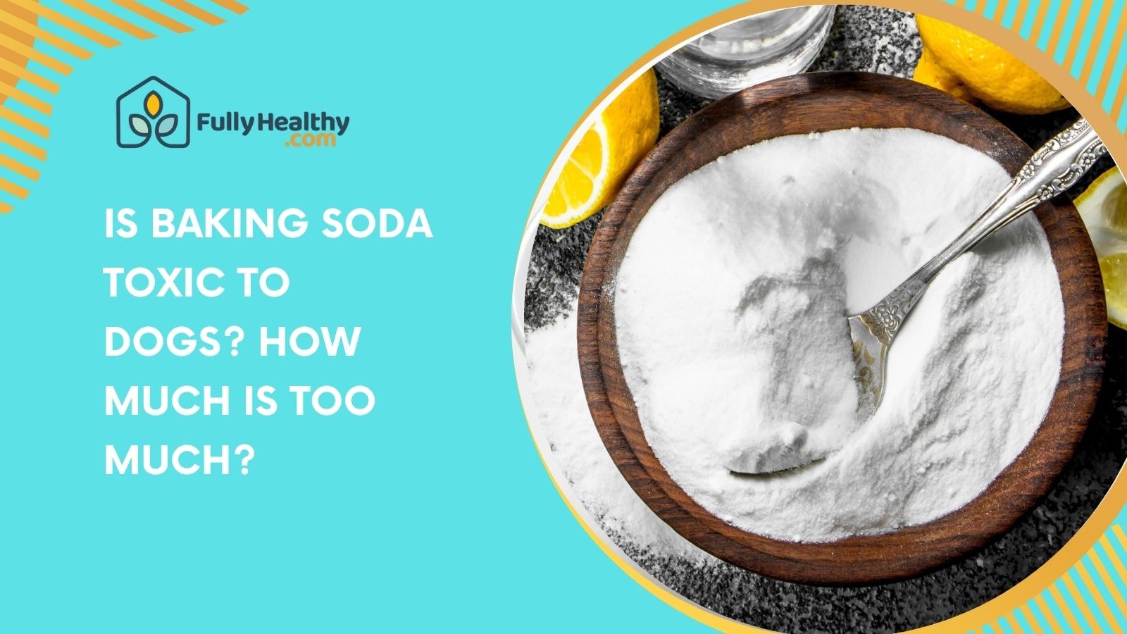 Is Baking Soda Toxic to Dogs? How Much Is Too Much?
