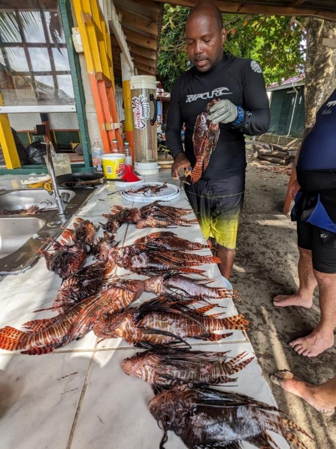 Things to do when cruising in the Caribbean 