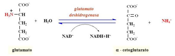AD_4nXfLBpt3K1eHPgY1Nom7cWv4iBewN_t9d8NgO2tkUXAdRRKJwfdTRIDBFJXnKEyS3eCFukwR0VmwuwiDq7F1Q1E3nyqupOiXir0pK0r_eceNjvwO19k0TibwSvVXfkkLdRN0zpJJVEddGnglWL6xXVk?key=7ylc7u1ZuN126lRlwFFQ4Q